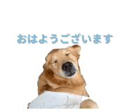 843158958