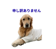 843158963