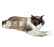 843159034