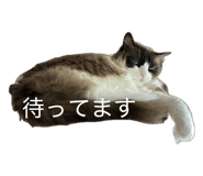 843159035