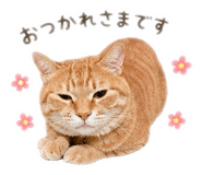 843159390