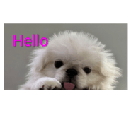 843159444