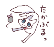843159506