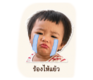 843160046