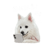 843160095