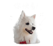 843160098