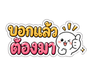 843161335