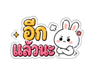843161337