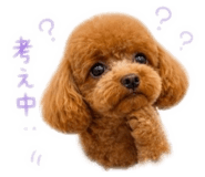 843161959