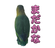 843162005