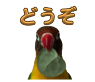 843162007
