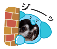 843162124