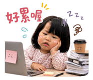 843162532
