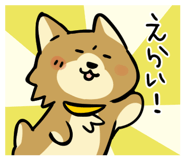 843163053