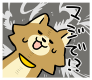 843163062