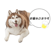 843164331