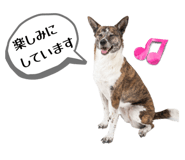 843164333