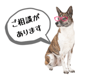 843164340