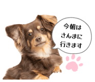 843164350