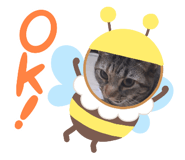 843165206