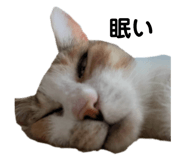 843165850