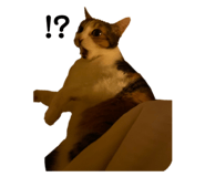 843165857