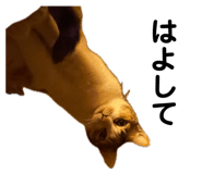 843165869
