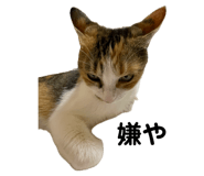 843165871