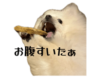 843166198