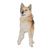 843166524