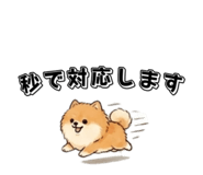 843166694