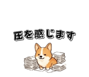 843166697