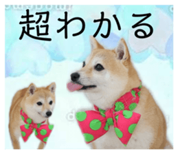 843167020