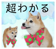 843167020