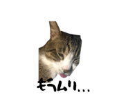 843167298