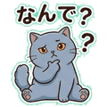 843167606