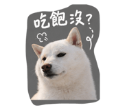 843167660