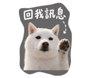 843167664