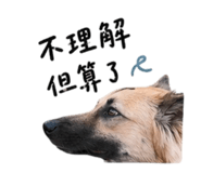 843169404