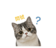 843169698