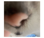 843169790