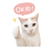 843170641
