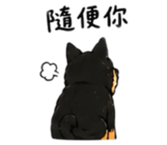 843170768
