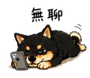 843170772
