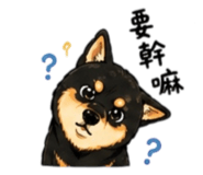 843170777