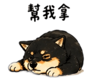 843170780