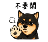 843170800