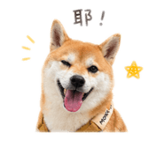 843173821