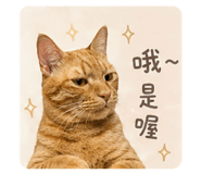 843173884