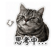 843174563